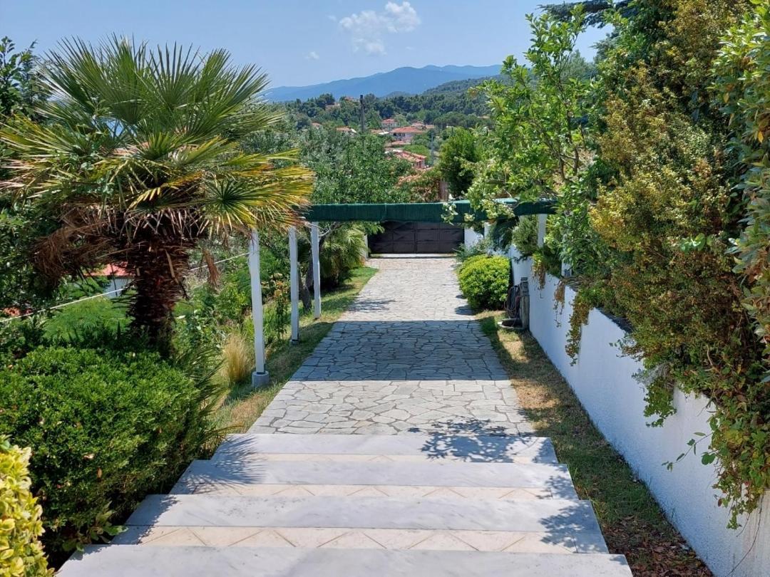 Seaview Dreams Villa Ormos Panagias Phòng bức ảnh